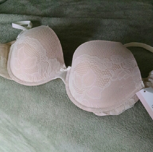 Brand New With Tags Gilligan O'Malley Bra 36C