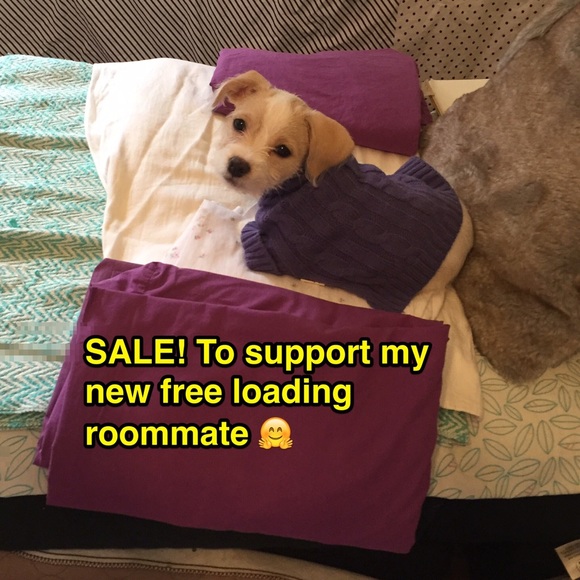 Little intro to my new roommate! 🤗🤗