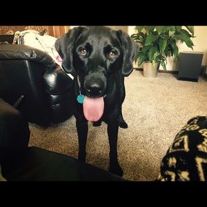 Meet your Posher, Melissa