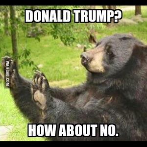 Meet your Posher, Denice