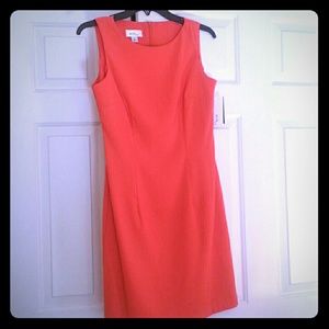 Simple Sheat  Summer Dress for Office