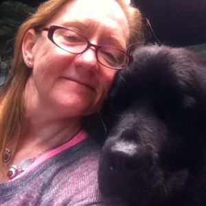 Meet your Posher, Ellen