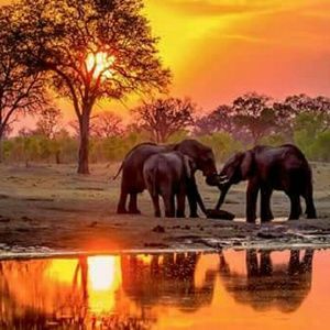 Meet your Posher, Barbara