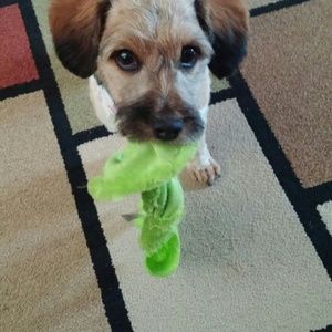 Meet your Posher, Susan