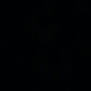 Meet your Posher, Elena