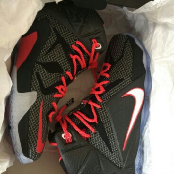 Lebron 12 Court Vision