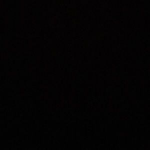 Meet your Posher, Izzy