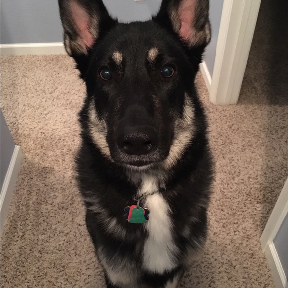 Meet your Posher, Linda