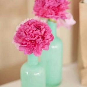 Meet your Posher, Rosa