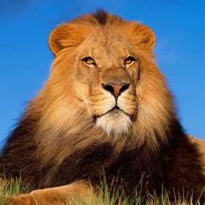 Meet your Posher, Vicki