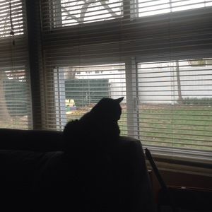 Meet your Posher, Teddy