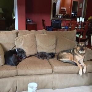 Meet your Posher, Helen