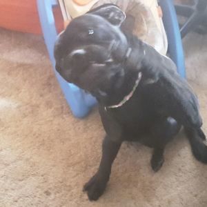 Meet your Posher, Tracy