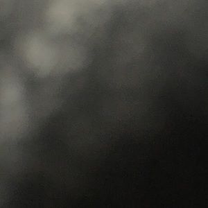 Meet your Posher, Angelina