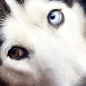 Meet your Posher, Arlette