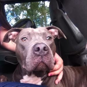 Meet your Posher, Elena