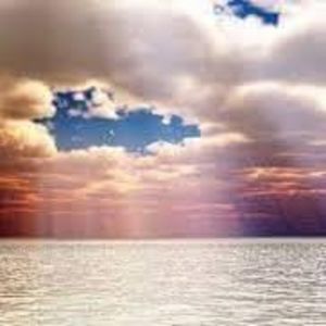 Meet your Posher, Misty