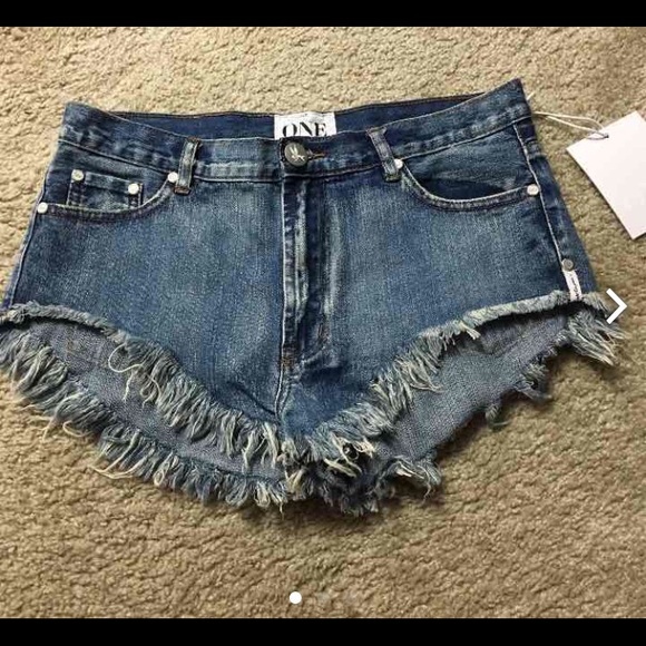 NWT one teaspoon shorts