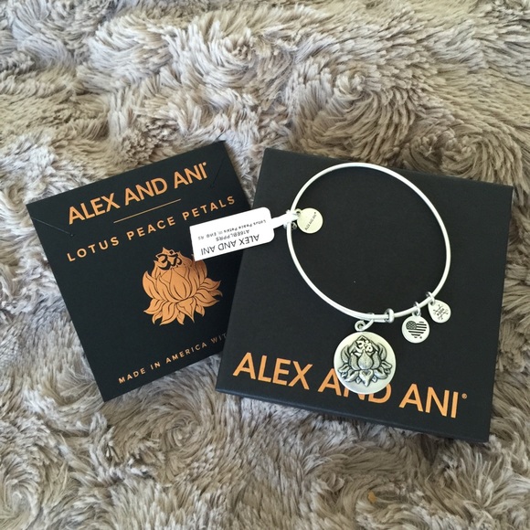 🔴FINAL PRICE🔴 Alex and Ani Charm Bangle