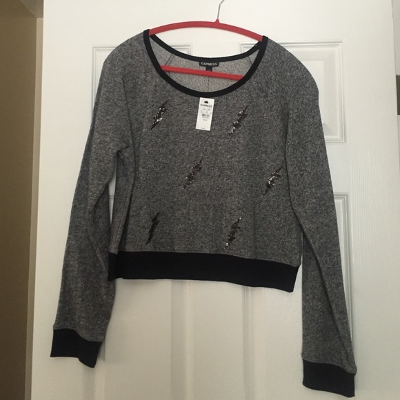 Express Sweater