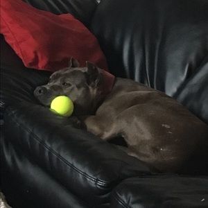 Meet your Posher, Addie