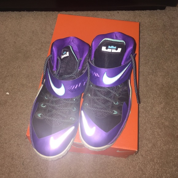 Purple LeBrons