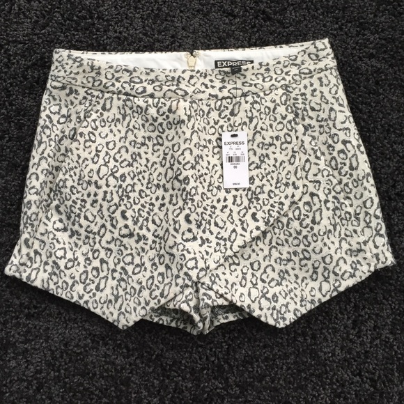 Express Dress Shorts