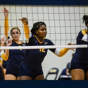 Meet your Posher, Jamesha