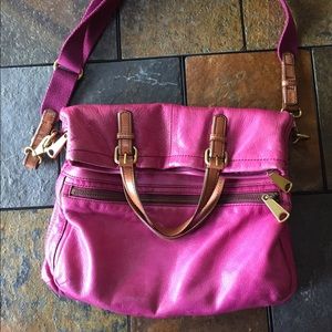 Fossil explorer tote