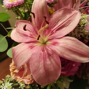 Meet your Posher, Nery