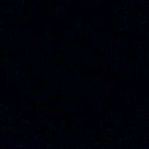 Meet your Posher, Nora