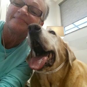 Meet your Posher, Donna