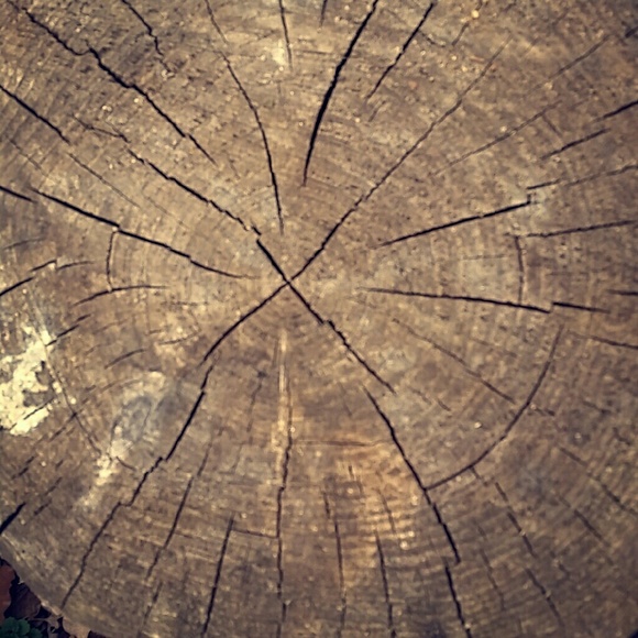 ISO: Organic baby items, bundle deals, unisex