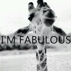 Meet your Posher, Daisy