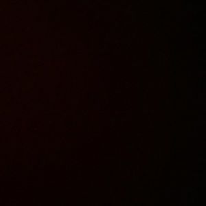 Meet your Posher, Marlon