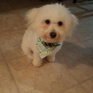 Meet your Posher, Candace