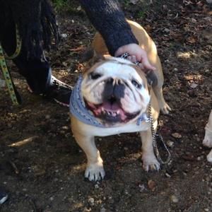 Meet your Posher, Elissa