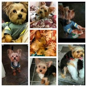 Meet your Posher, Shana