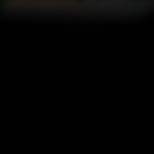 Meet your Posher, Bobbie