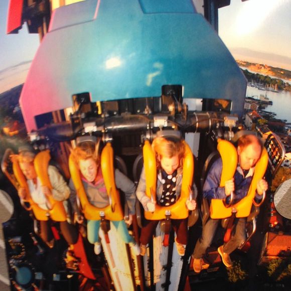 Meet your Posher, Lily - Picture 1 of 1