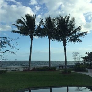 Meet your Posher, Yiselle