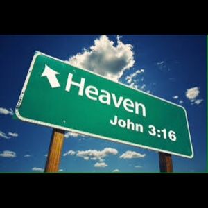 Meet your Posher, Bailey