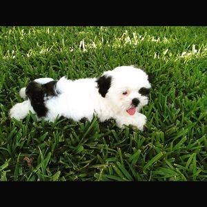 Meet your Posher, Meghan