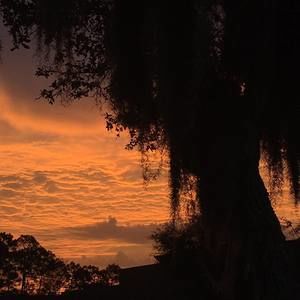 Meet your Posher, Cassandra