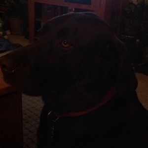 Meet your Posher, Kim