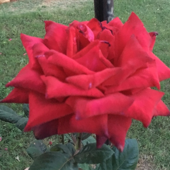 Meet your Posher, Megan