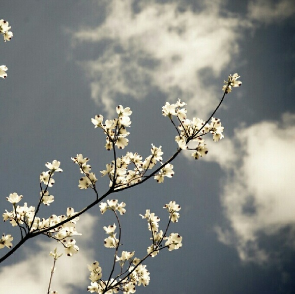 Meet your Posher, Tania