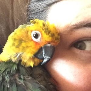 Meet your Posher, Amber