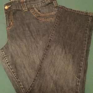 Freestyle Revolution plus size jeans