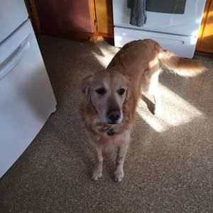 Meet your Posher, Marie